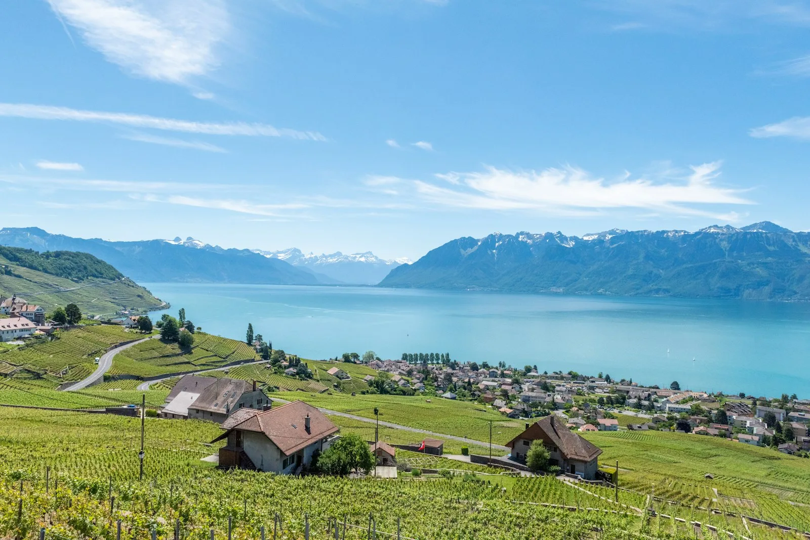 Maisons sur un coteau viticole surplombant le lac Léman, canton de Vaud, Suisse.