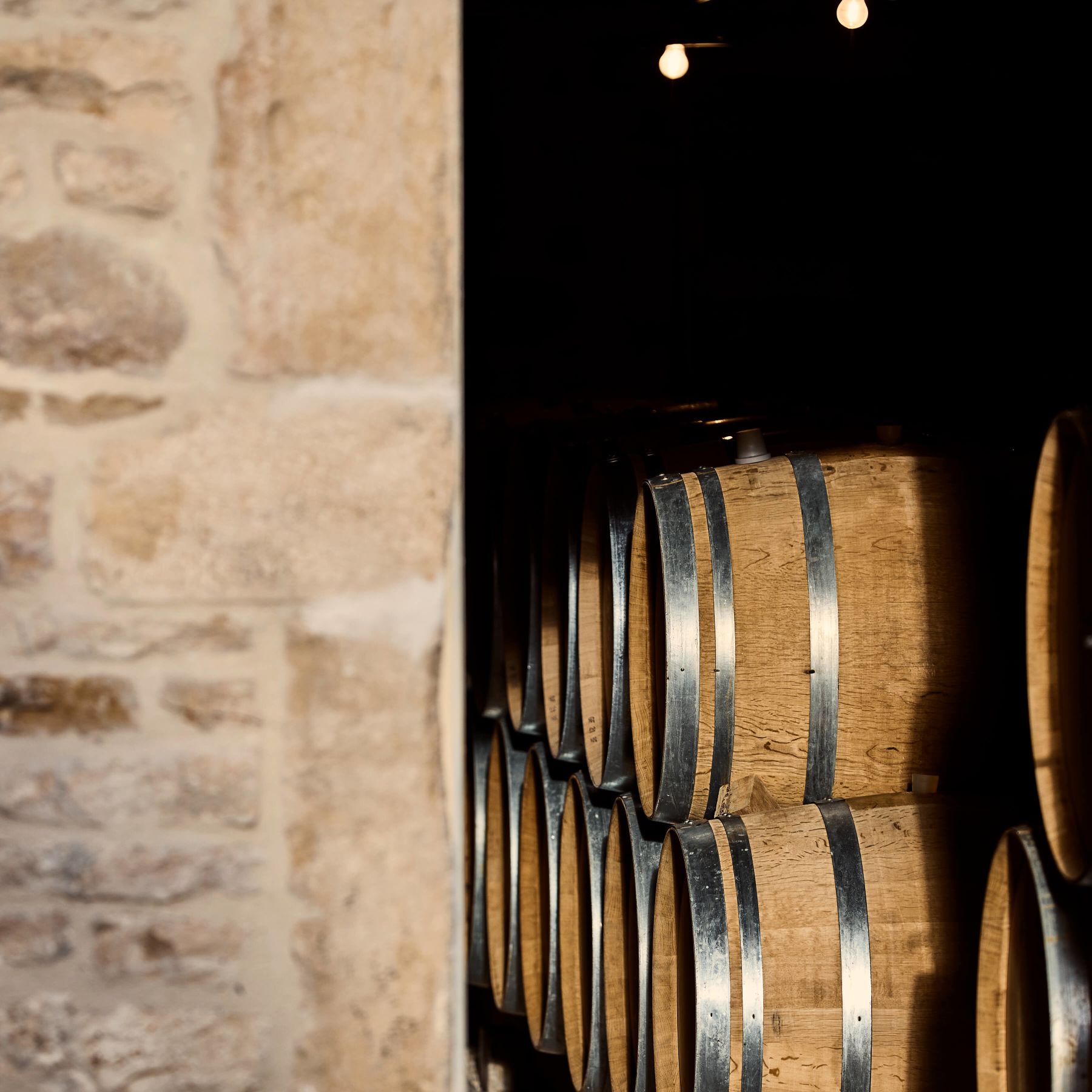 Oak barrels ageing in a stone Burgundian wine cellar.