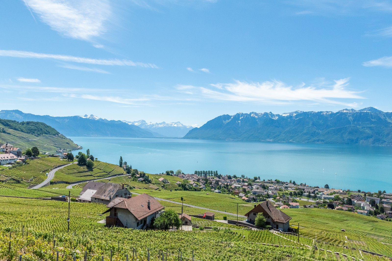 Maisons sur un coteau viticole surplombant le lac Léman, canton de Vaud, Suisse.