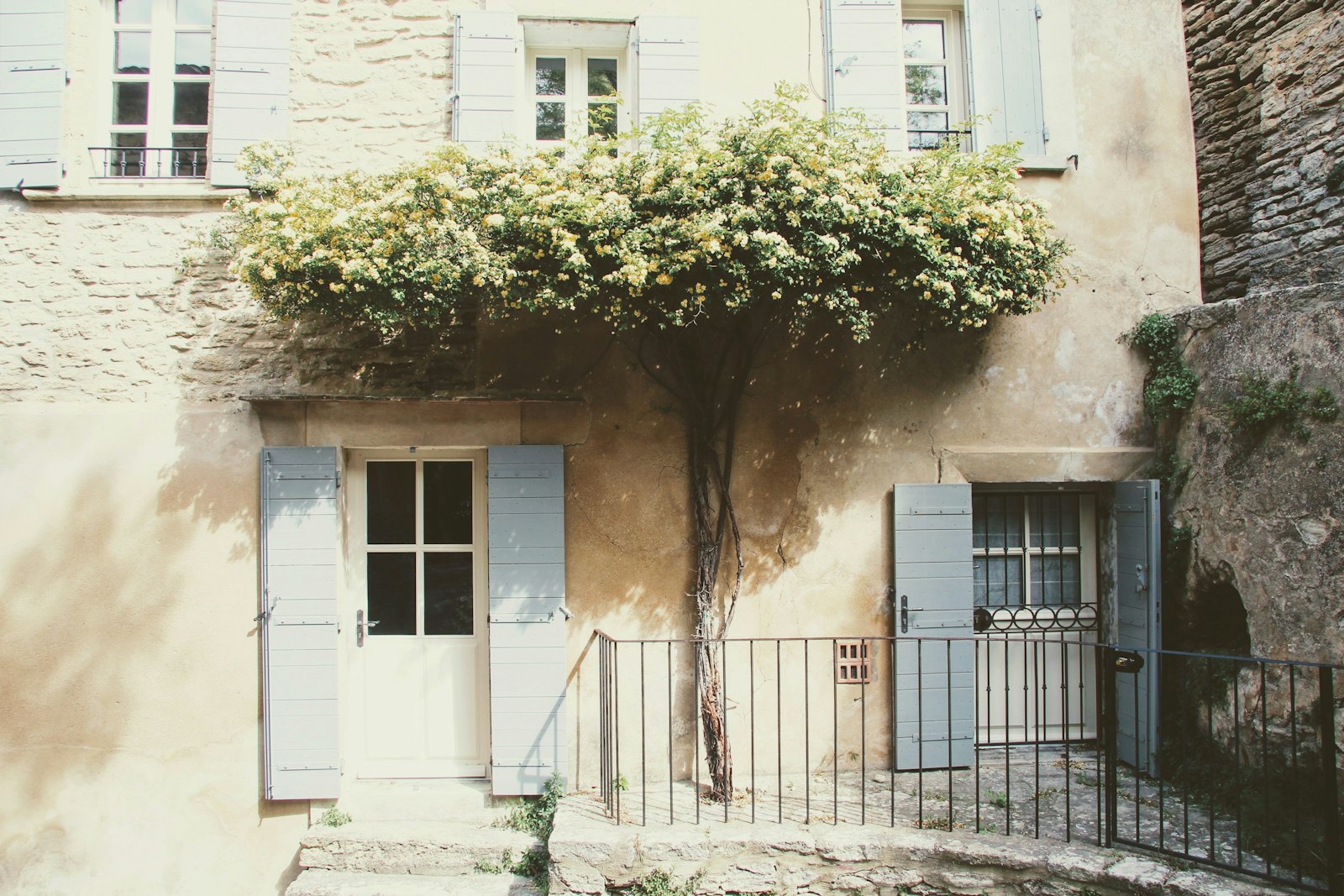 A stone Provençal house facade with pale blue shutters and a climbing rose.