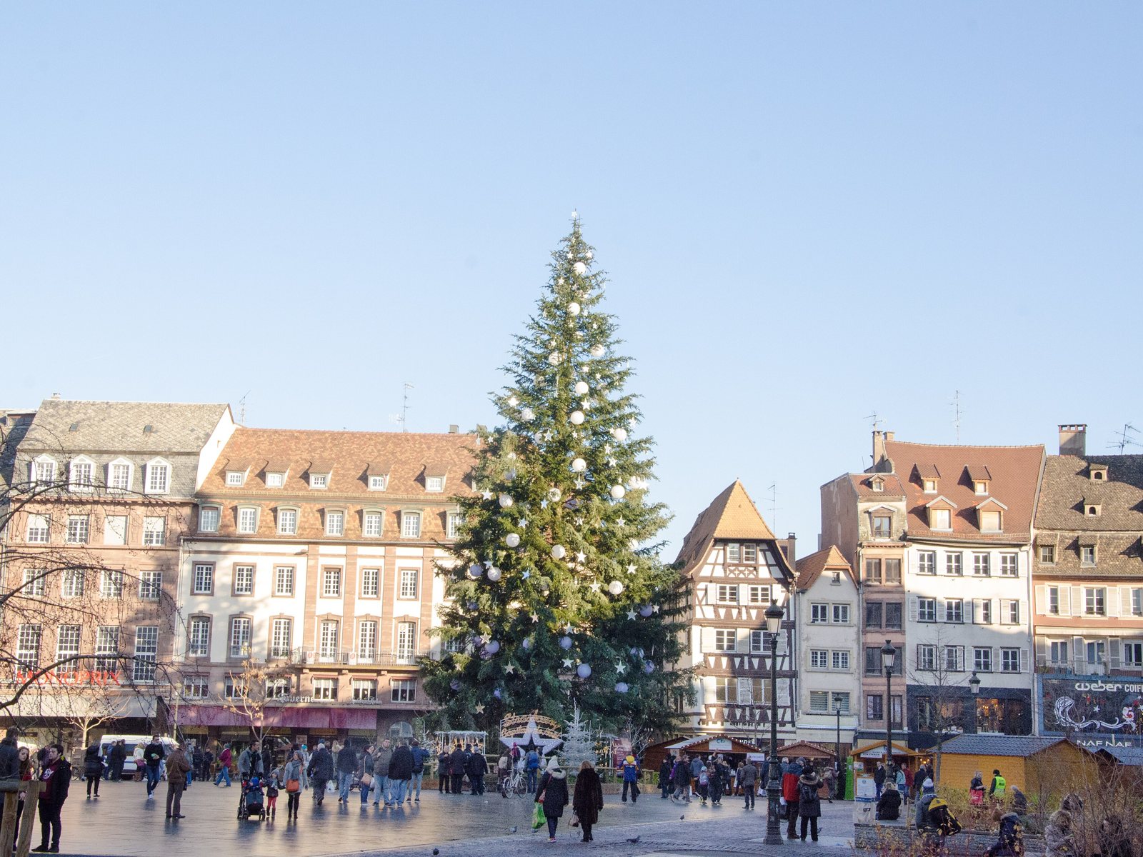 The great Christmas tree of Strasbourg.