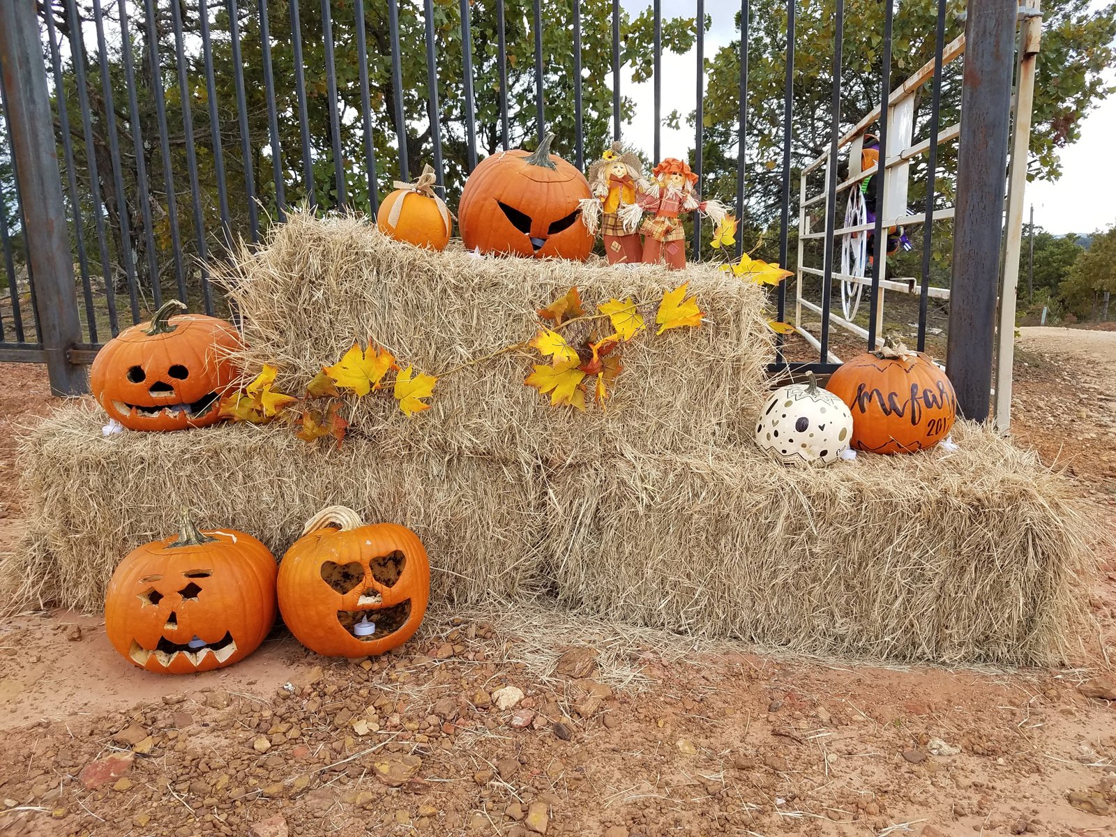 Carved pumpkins on hay bales, ready for Halloween.