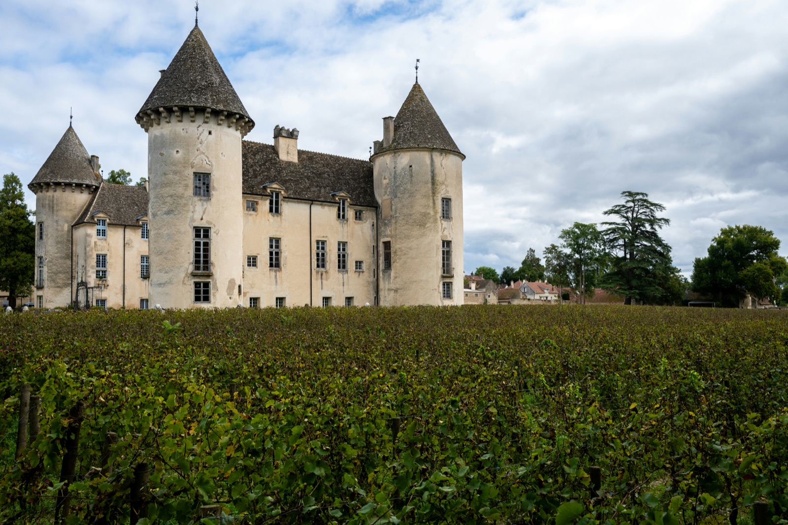 A turreted château rising behind rows of vines under a cloudy sky.