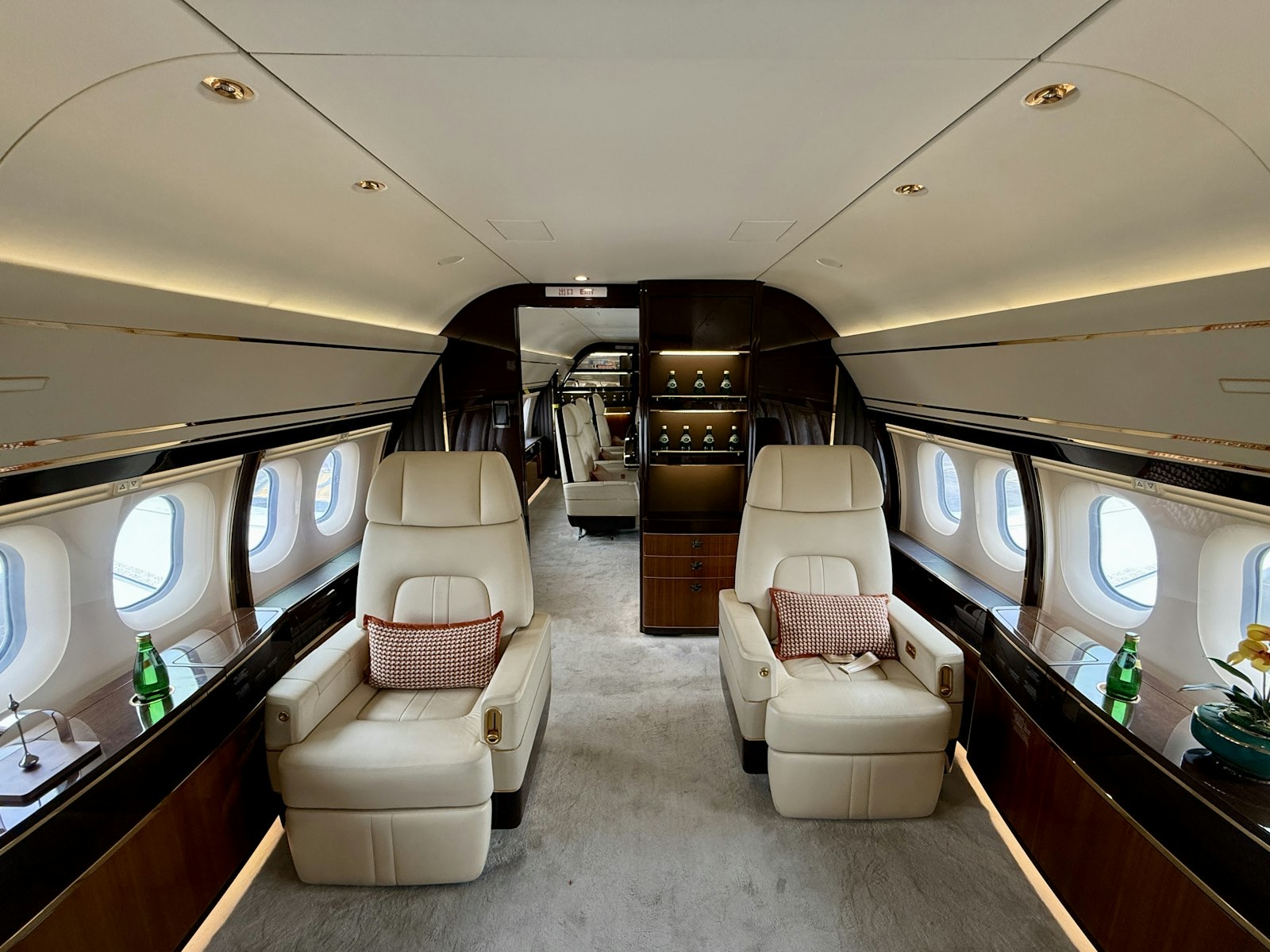 The cabin interior of a private jet, with facing leather seats.