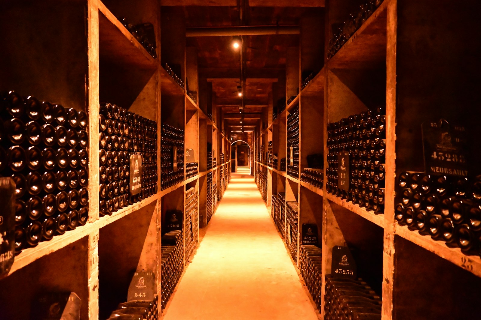 Un long couloir de cave à vin bordé de bouteilles en vieillissement.