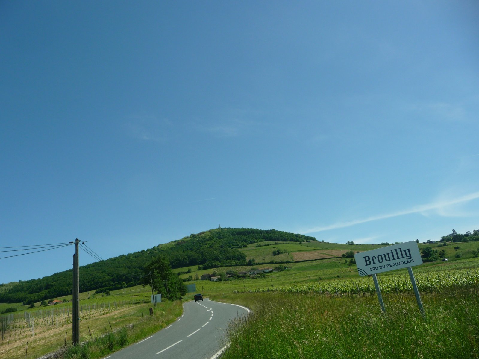 Mont Brouilly rising among the Beaujolais vineyards.