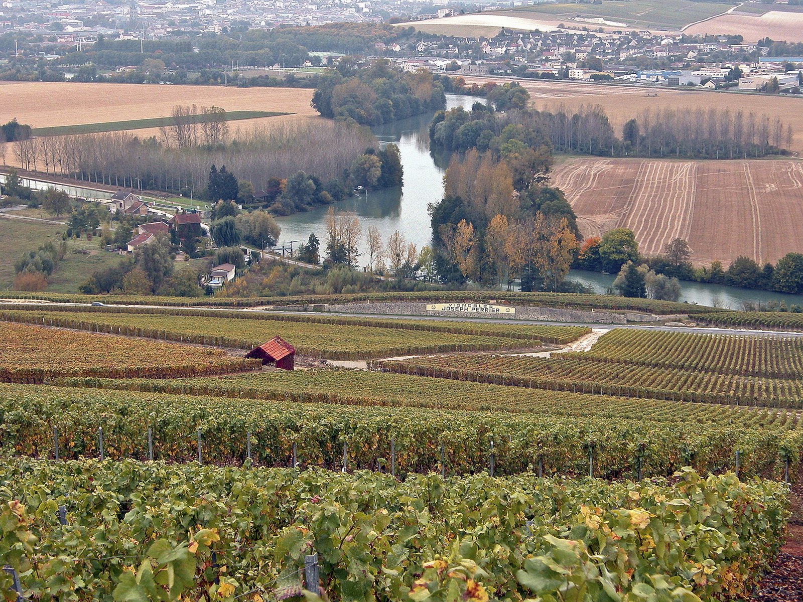 Vines above the Marne seen from Hautvillers in Champagne.