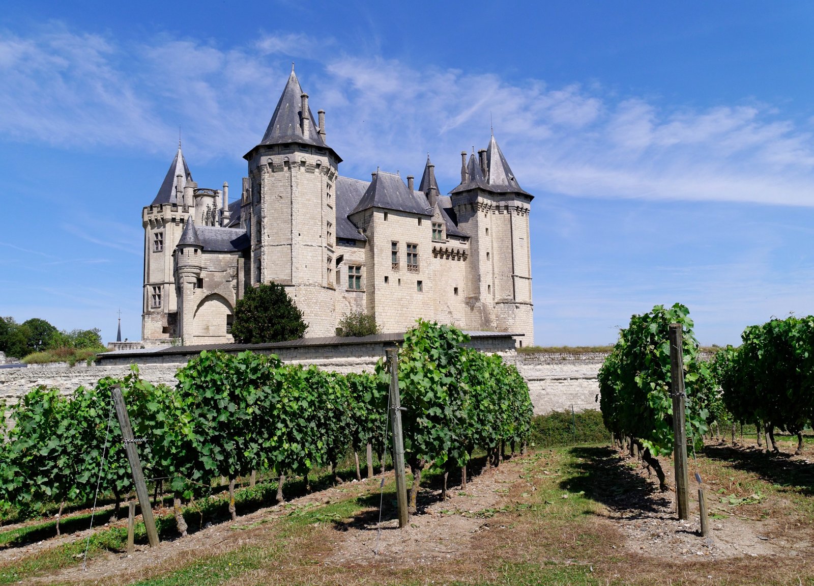 Vineyards in front of the château of Saumur in the Loire Valley.